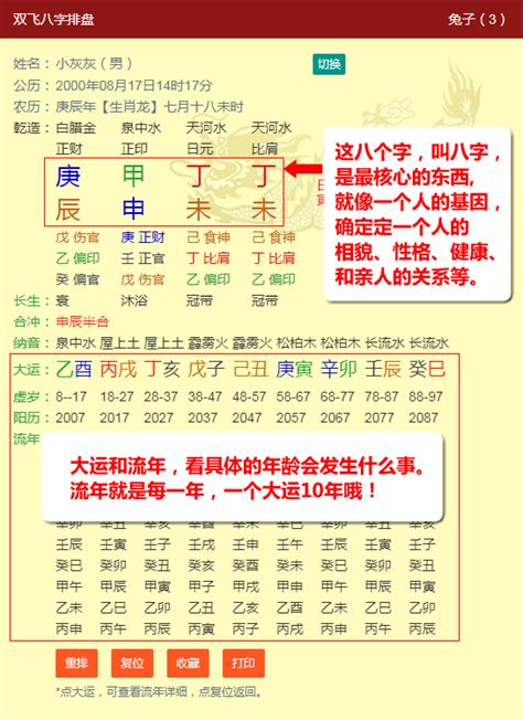 八字排盤及解說|八字命盤 